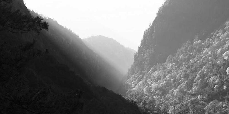 釜山行2：半岛
